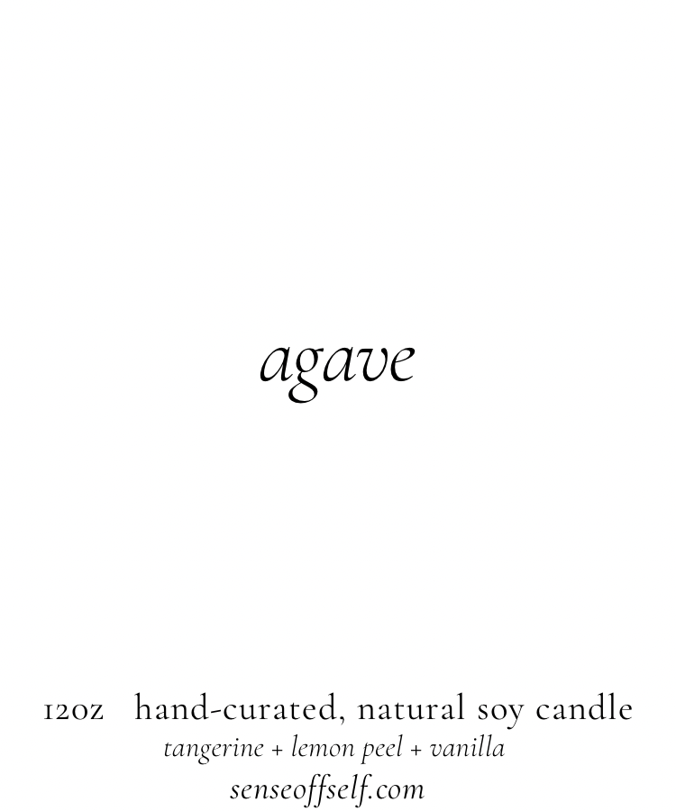 agave 12oz candle