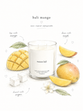 summer candle collection