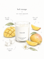 summer candle collection